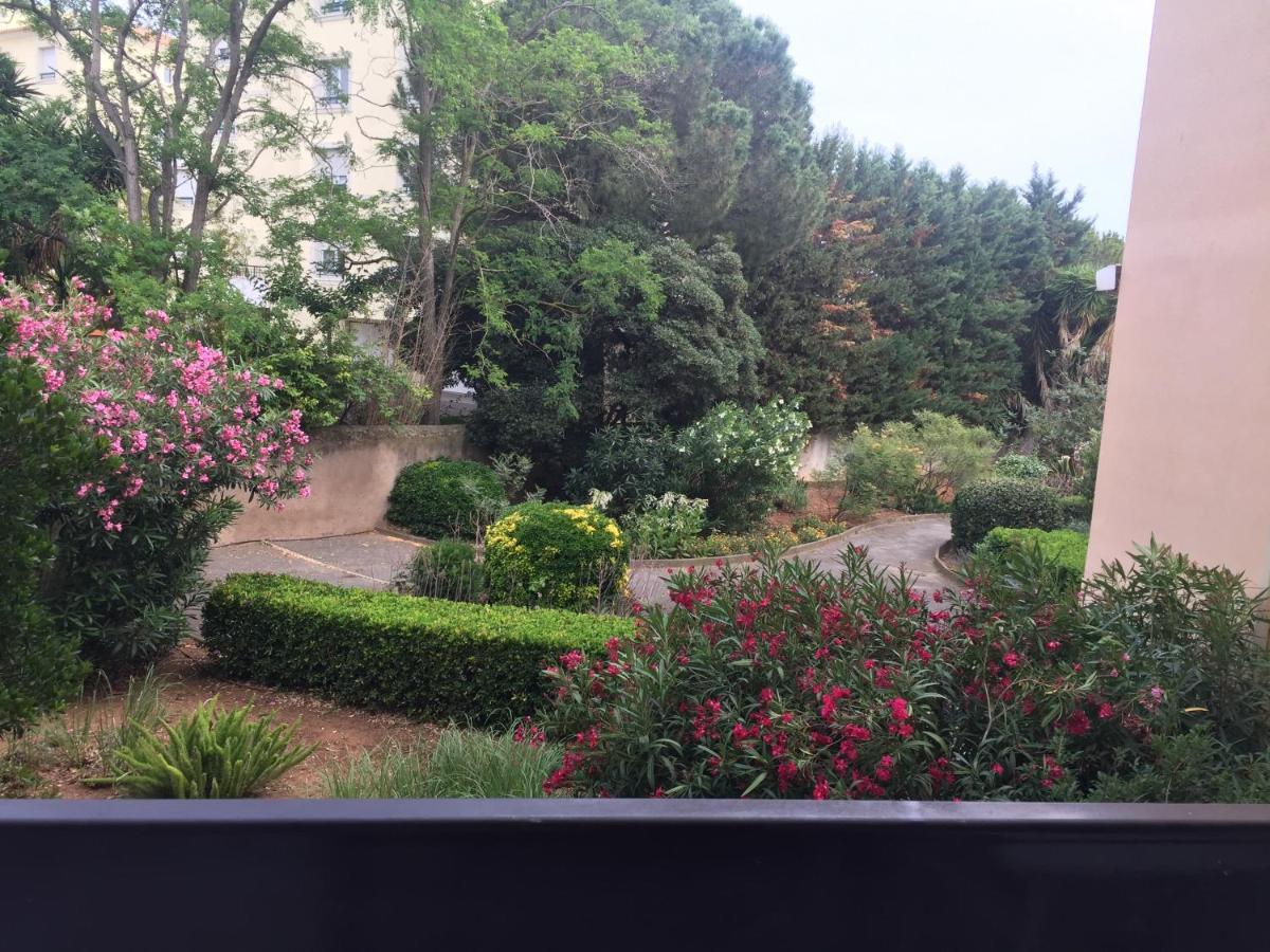 Studio Cabine,4 Personnes ,Renove,Au Calme,200 M De La Plage,Parking Prive Сет Экстерьер фото