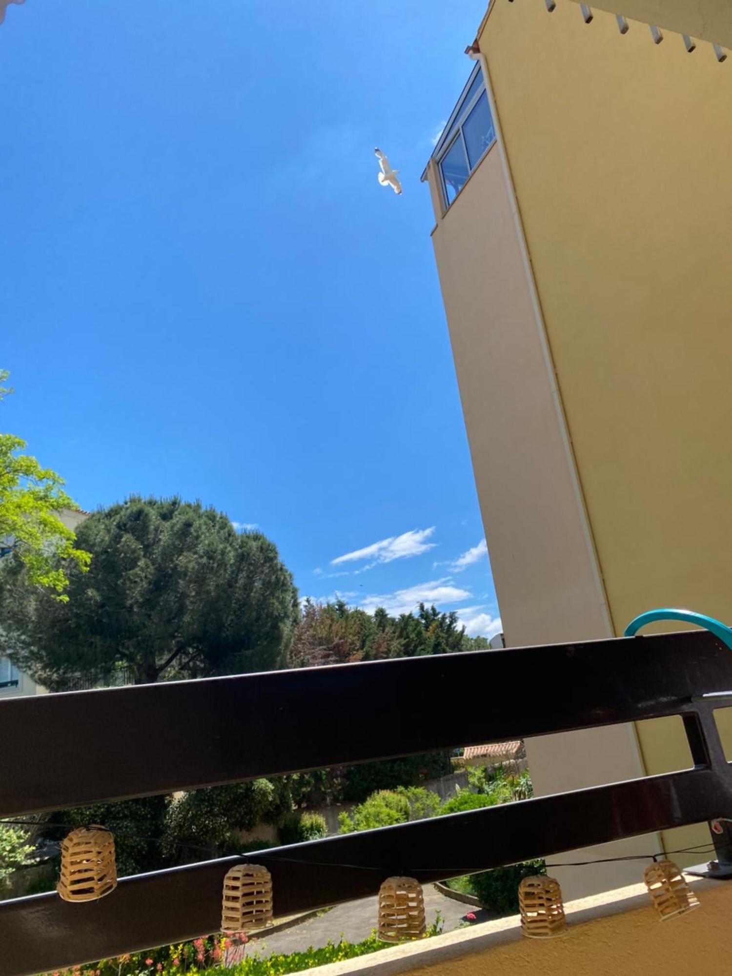 Studio Cabine,4 Personnes ,Renove,Au Calme,200 M De La Plage,Parking Prive Сет Экстерьер фото